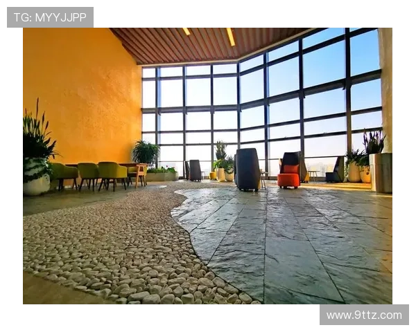 杭州羽毛球队与深圳羽毛球队赛后复盘力量对决的深度分析与启示